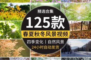 四季植物天气变幻变化季节交替春夏秋冬季抖音高清剪辑短视频素材