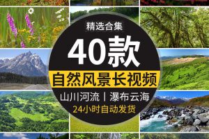 4K山川河流瀑布湖泊云海花朵花草植物自然风景实拍高清长视频素材