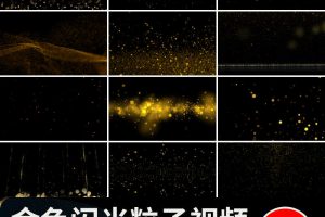 金色粒子闪光星光元素特效光效光斑节日活动MOV透明通道视频素材