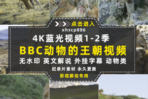 BBC野生动物纪录片王朝全2季中视频自媒体解说高清剪辑视频素材