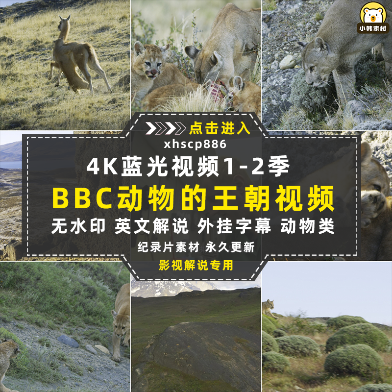 BBC野生动物纪录片王朝全2季中视频自媒体解说高清剪辑视频素材插图