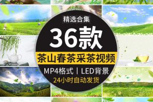 茶叶飘叶中国风茶园采茶山品茶茶田茶艺表演舞台LED背景视频素材
