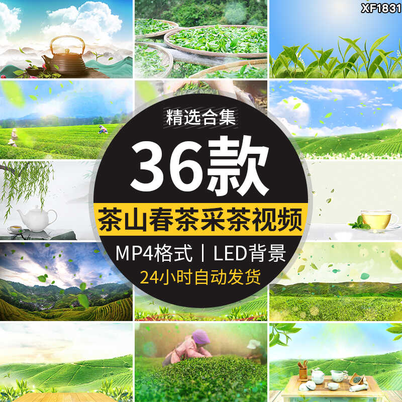 茶叶飘叶中国风茶园采茶山品茶茶田茶艺表演舞台LED背景视频素材插图