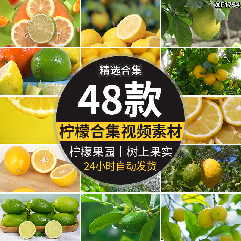 青柠檬黄柠檬汁橙色柠檬果实柠檬水清爽柠檬片柠檬树果园视频素材插图