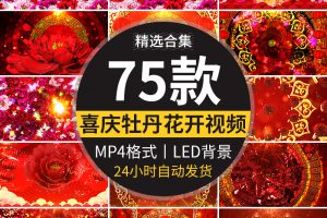 4K喜庆牡丹花开富贵鲜花花瓣绽放舞台舞蹈LED大屏幕背景视频素材