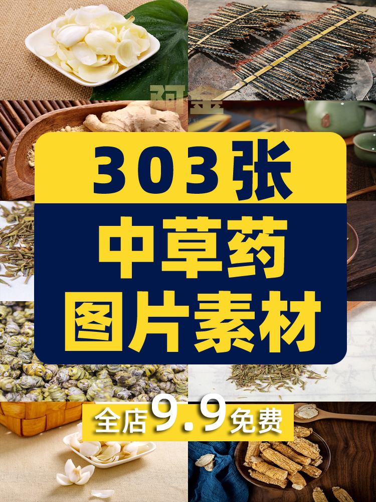 4K中草药食材当归虫草灵芝人参苁蓉黄芪摄影实拍中医药材图片素材插图