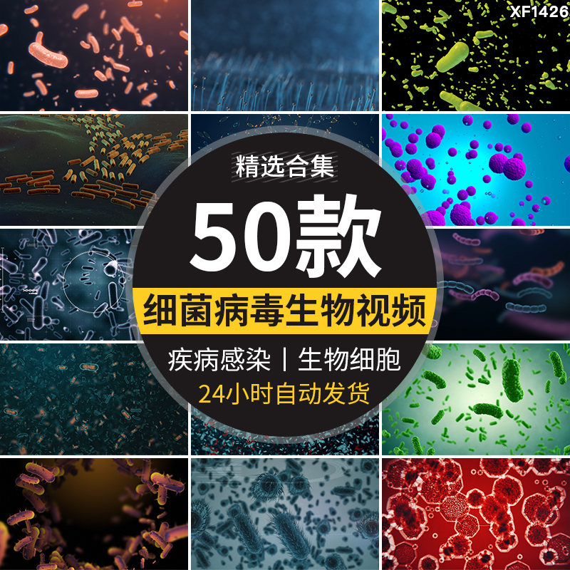 病毒细菌病菌感染细胞微生物医学传染疾病传播寄生虫高清视频素材插图