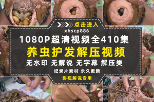 解压驱虫纪录片养虫护发全410集中视频自媒体解说高清视频素材