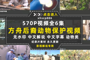 野生动物保护纪录片方舟后裔全6集中视频自媒体解说高清视频素材