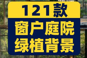 窗户庭院绿植室内抖音绿幕虚拟动态舞台直播led背景视频图片素材