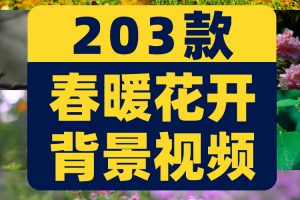 春暖花开花朵绽放花卉鲜花风景素材高清春天自然治愈系短视频背景