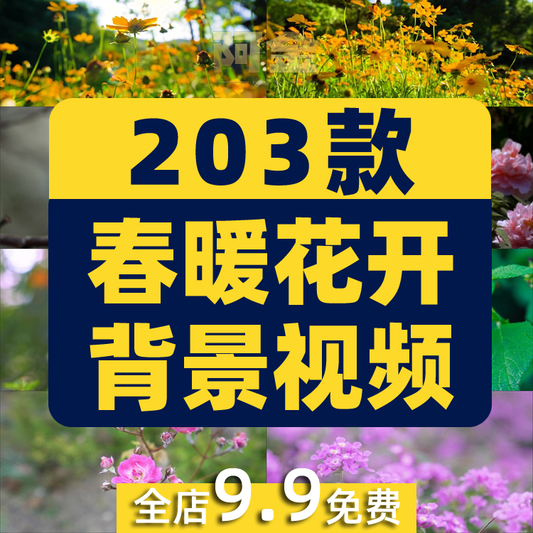 春暖花开花朵绽放花卉鲜花风景素材高清春天自然治愈系短视频背景插图