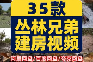 丛林兄弟野外户外建房建别墅游泳池国外高清解压视频小说推文素材