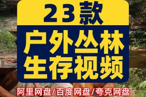 丛林野外建别墅建游泳池国外户外场景荒野生存横屏中长视频素材