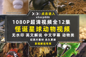 野生动物纪录片怪诞星球全12集中视频自媒体解说高清剪辑视频素材