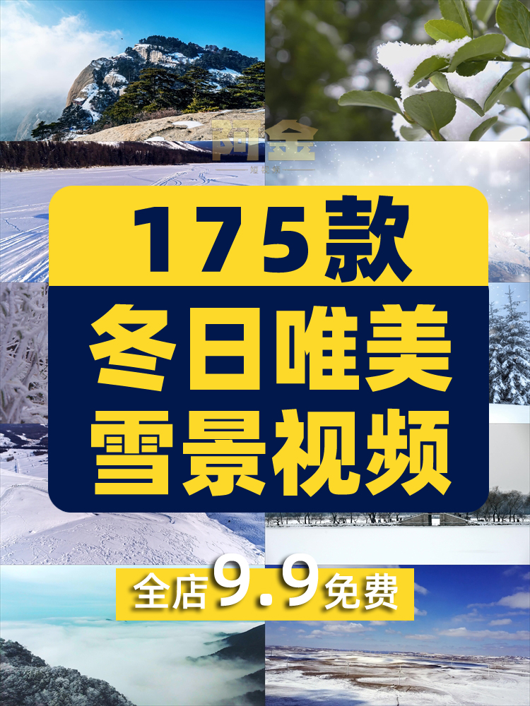 冬日雪景下雪雪花风景素材高清旅游自然唯美治愈系短视频背景剪辑插图