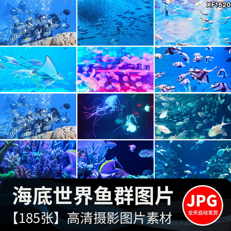 海底世界海洋生物动物小鱼群鱼类珊瑚礁抖音设计高清背景图片素材插图