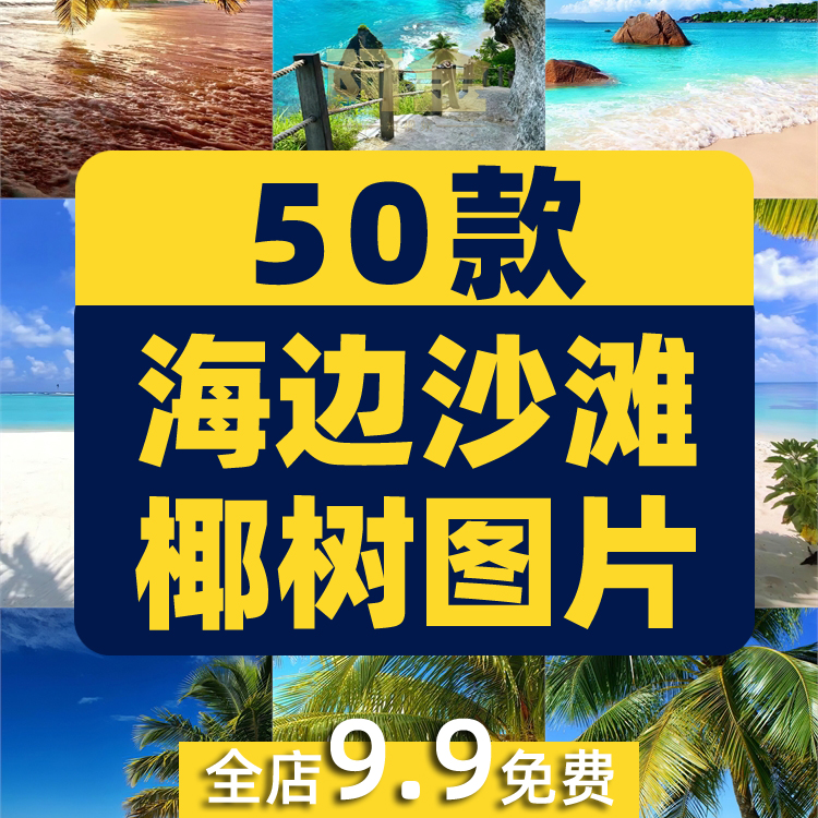 海边沙滩椰树夏天夏日海滩风景海水抖音绿幕直播led背景图片素材插图