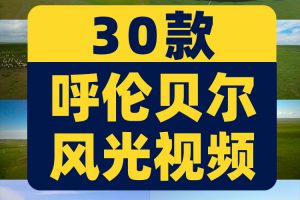 内蒙古呼伦贝尔蓝天白云风光大草原羊群风景素材航拍旅游短视频