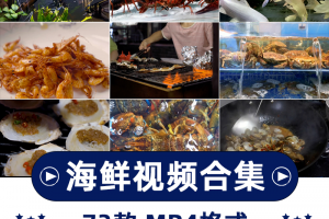 海鲜美食美味横版高清抖音自媒体pr剪辑背景视频素材