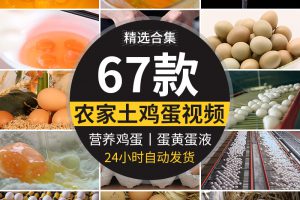 农家土鸡蛋蛋黄营养笨鸡蛋无公害草鸡蛋本鸡蛋宣传片高清视频素材