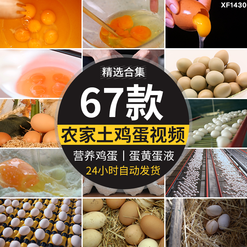 农家土鸡蛋蛋黄营养笨鸡蛋无公害草鸡蛋本鸡蛋宣传片高清视频素材插图