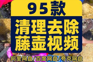 手工清理刮藤壶高清横屏国外自媒体解压视频中长小说推文素材引流