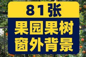 竖屏果园果树落地窗外绿植树叶水果橙子绿幕直播间背景图片素材