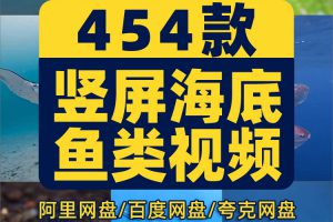 竖屏海底鱼类实拍海洋生物风景抖音高清解压短视频小说推文素材