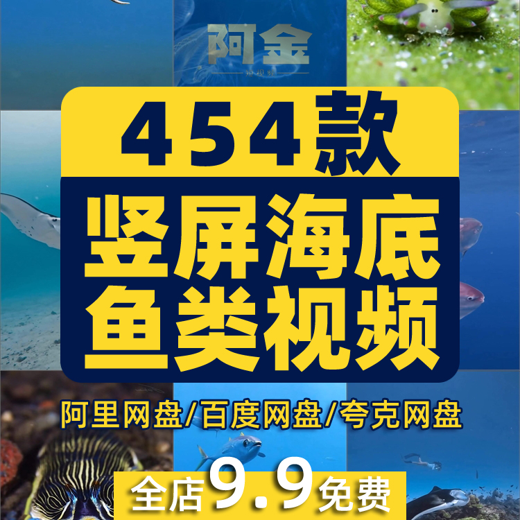 竖屏海底鱼类实拍海洋生物风景抖音高清解压短视频小说推文素材插图