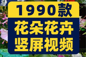 竖屏花朵花卉花开风景素材高清旅游自然唯美治愈系短视频背景剪辑