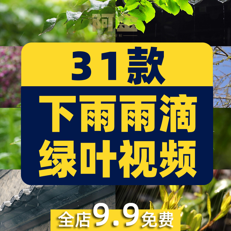 下雨雨滴绿叶清新绿色植物风景素材高清旅游自然治愈系短视频背景插图