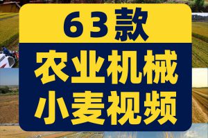 现代农业农田机械生产小麦田水稻收割机丰收视频高清实拍素材剪辑