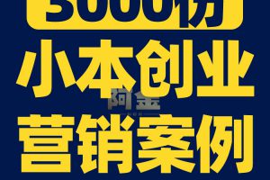 小成本生意创业思路新思维营销案例策划方案商业模板活动促销文案