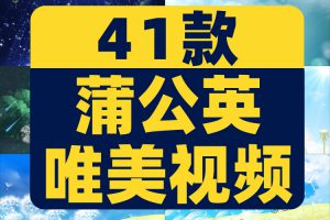 小清新唯美蒲公英梦幻大屏幕舞台动感LED高清视频场景背景素材