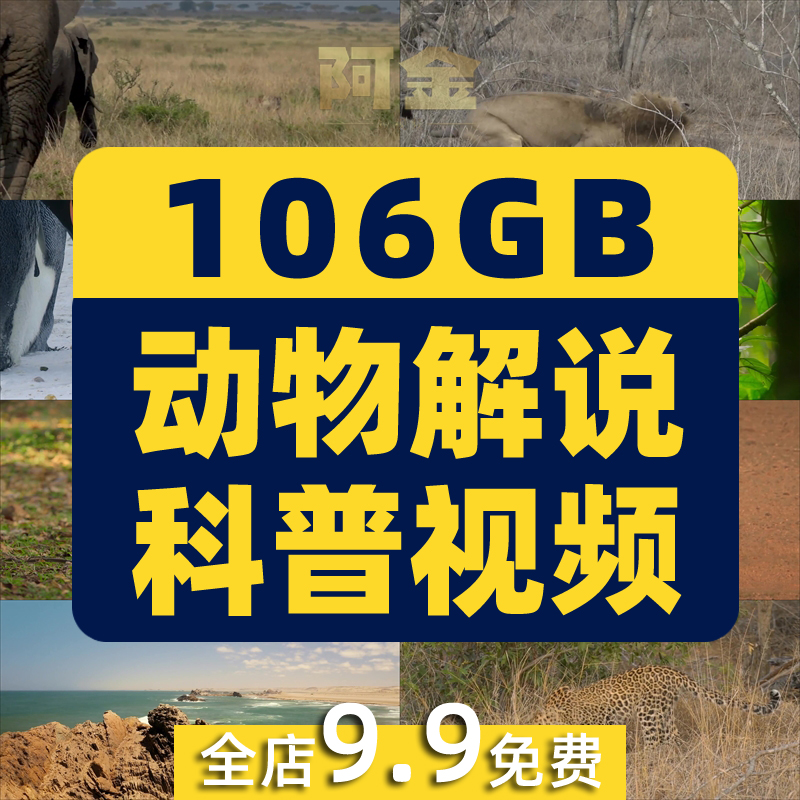 野生动物世界纪录片中视频解说科普视频4k国外觅食捕猎剪辑素材插图