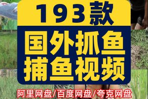 野外稻田捕鱼抓鱼钓鱼直播国外户外场景荒野生存横屏中长视频素材