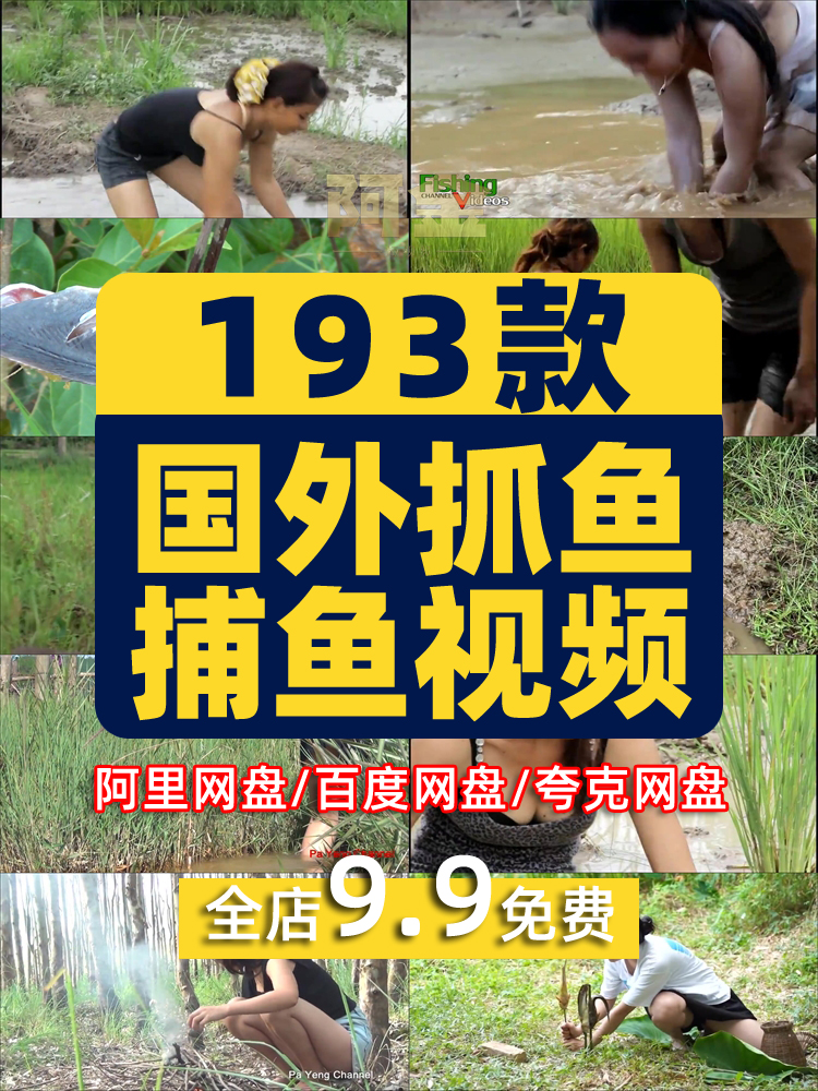 野外稻田捕鱼抓鱼钓鱼直播国外户外场景荒野生存横屏中长视频素材插图