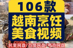 越南烹饪美食创意制作背景国外横屏高清直播解压视频小说推文素材