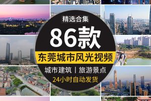 4K东莞虎门大桥地标城市建筑CBD夜景点旅游国贸中心航拍视频素材