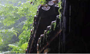 雨中房屋屋檐下雨视频素材