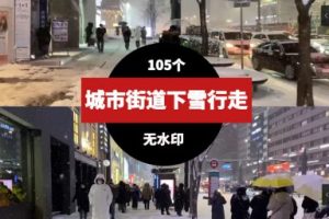 城市街道下雪天路人行走视频素材