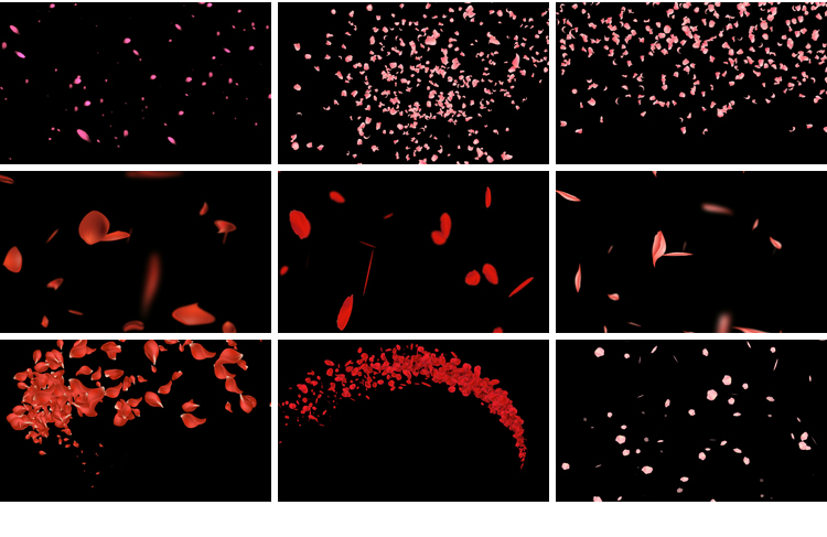 花瓣花朵飞舞飘落动态桃花玫瑰花特效动画pr_ae透明通道视频素材插图11
