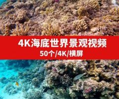 4K海底世界景观视频