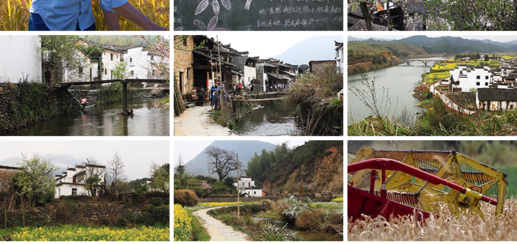 农村生活风景象风光故乡怀旧念旧家乡农民种植插秧庄稼短视频素材插图11