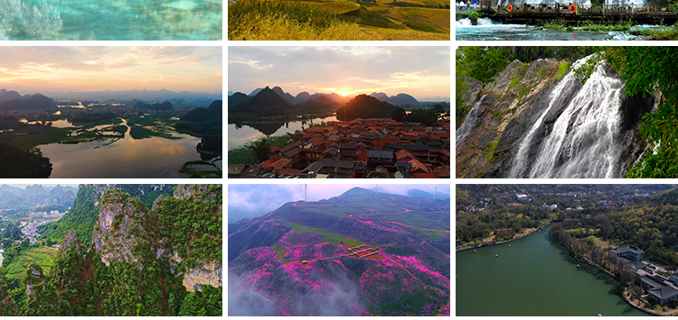 自然风景高山流水清新花草旅途风光绽放春天植物鲜花朵短视频素材插图11