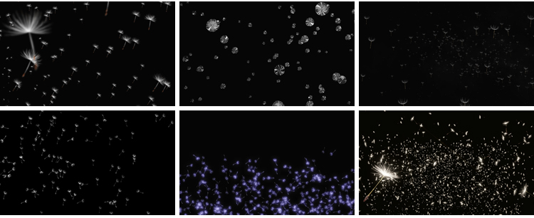 唯美蒲公英飞舞上升飘落漂浮特效后期合成带透明通道MOV视频素材插图12