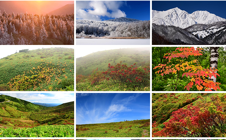 4K山川河流瀑布湖泊云海花朵花草植物自然风景实拍高清长视频素材插图12