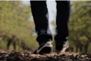 在林荫小道行走的男子镜头短视频素材