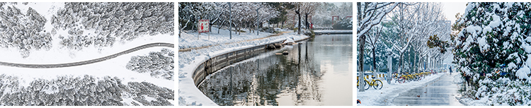 冬天冬季雪景房屋子宽屏雪山树林白雪地自然风景高清合成图片素材插图9